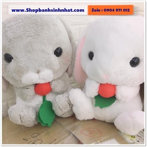 Gấu Bông Teddy Hàn Quốc - GAU02